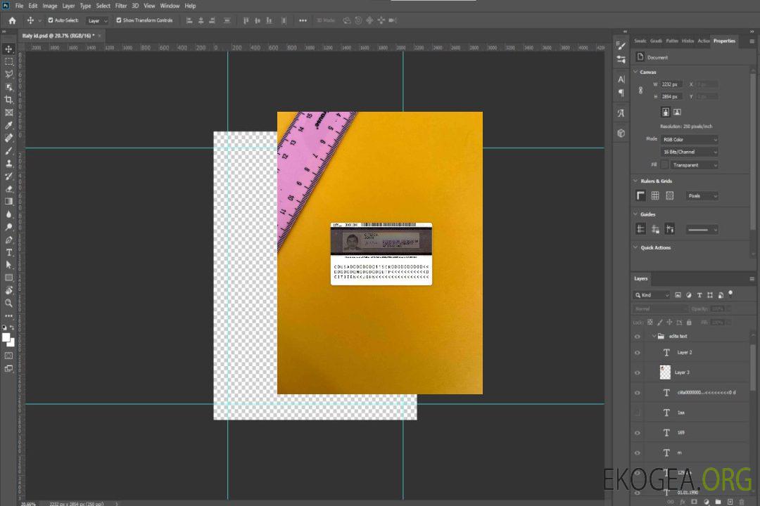 Carte verte des États-Unis, photolook de la carte de résident permanent RETOUR template